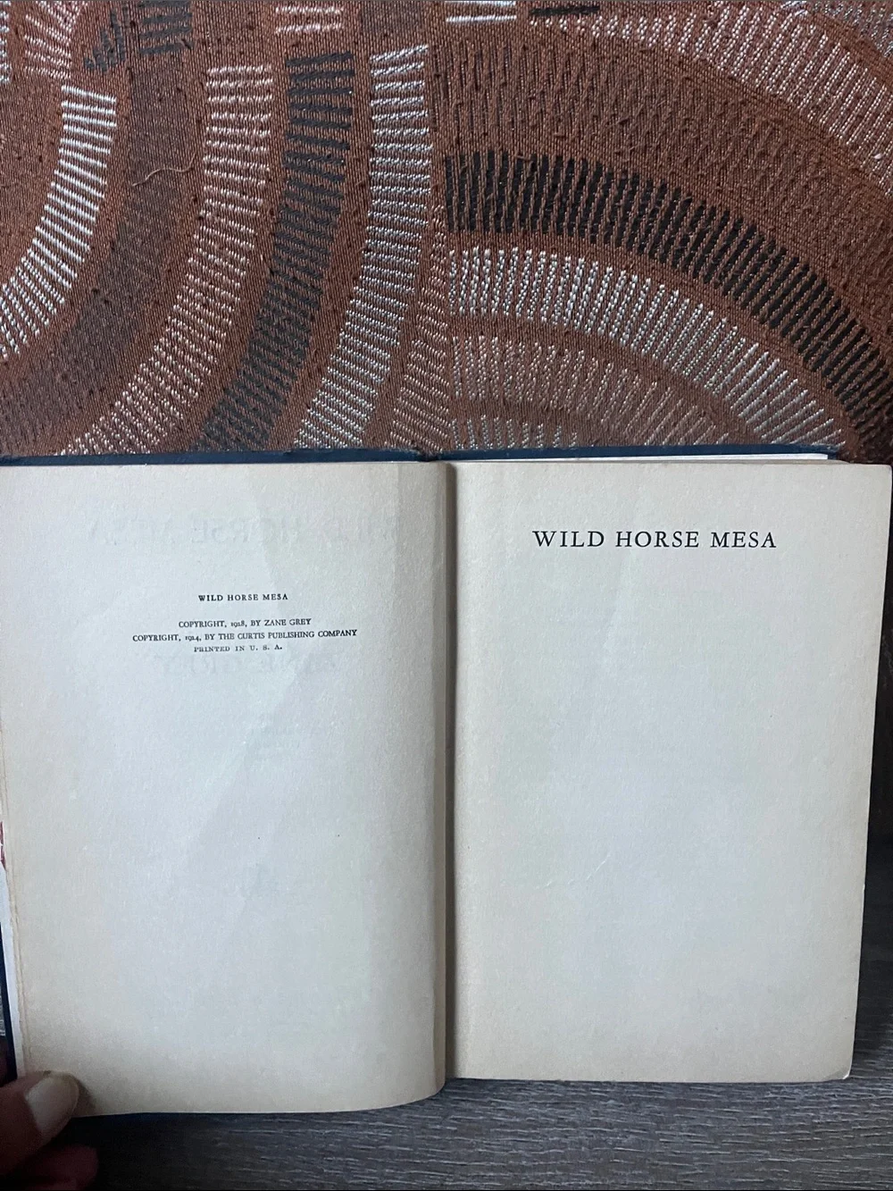 Wild Horse Mesa by Zane Grey 1924